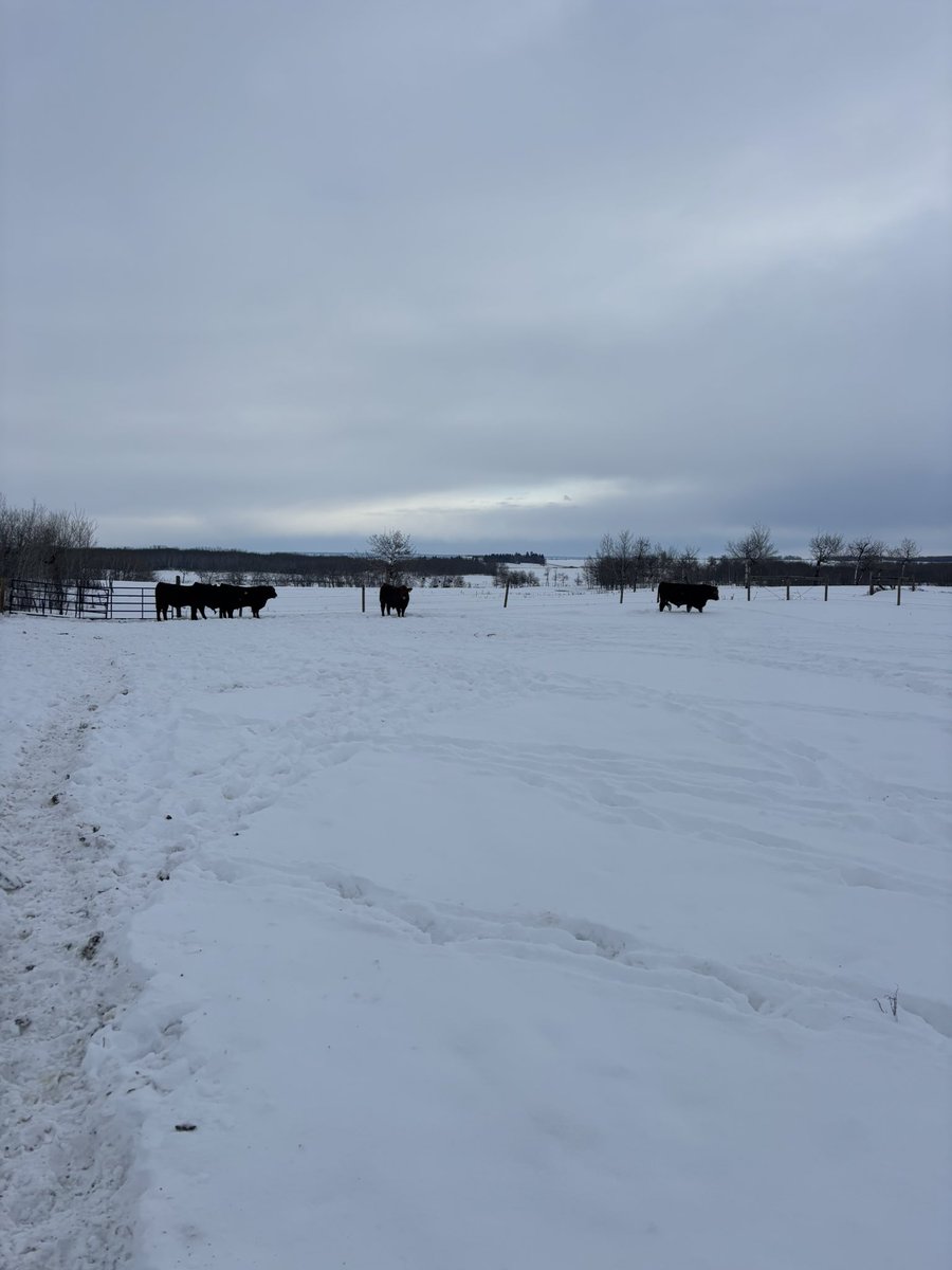 Mitch Stuart tweet media