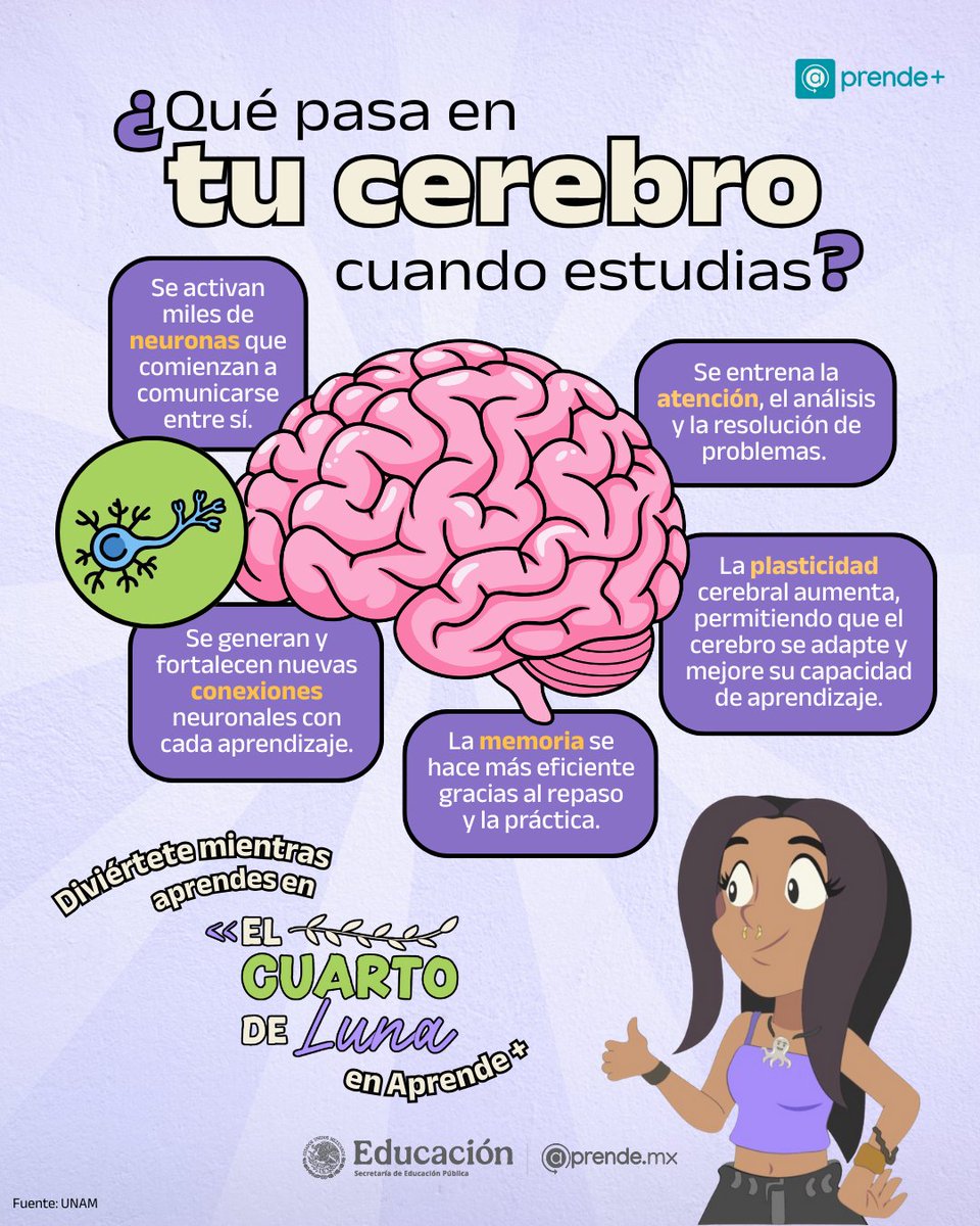aprende_mx's tweet image. #Aprender pone tu mente en acción. 🧠✨

Cada vez que te concentras en algo nuevo, tu cerebro se activa y se adapta. 😱🌟

Con el tiempo, ese ejercicio constante abre camino a nuevas ideas, mayor claridad y #CrecimientoPersonal. 📚📊