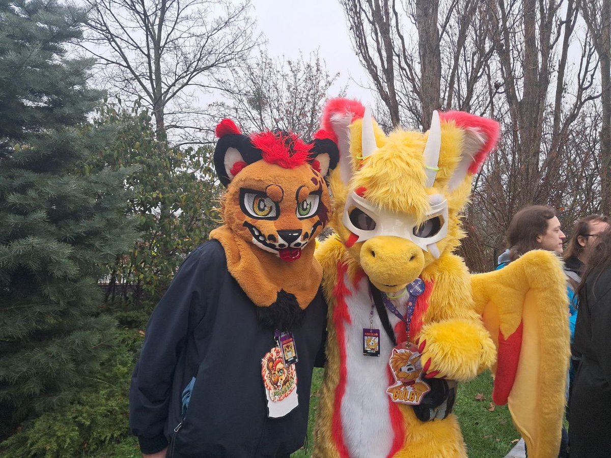 BegHaRest tweet media