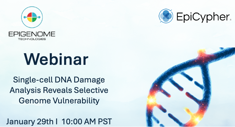 EpigenomeTech's tweet photo. Join a webinar from Epigenome Technologies and EpiCypher, Inc. to learn how Paired-Damage-seq can reveal cell-type-specific DNA damage patterns and provide new insights into disease mechanisms!
Jan 29, 10:00 AM PST
Register at https://t.co/i6CRFFU7ho
#Epigenetics #DNADamage https://t.co/rfX3CLaE4S