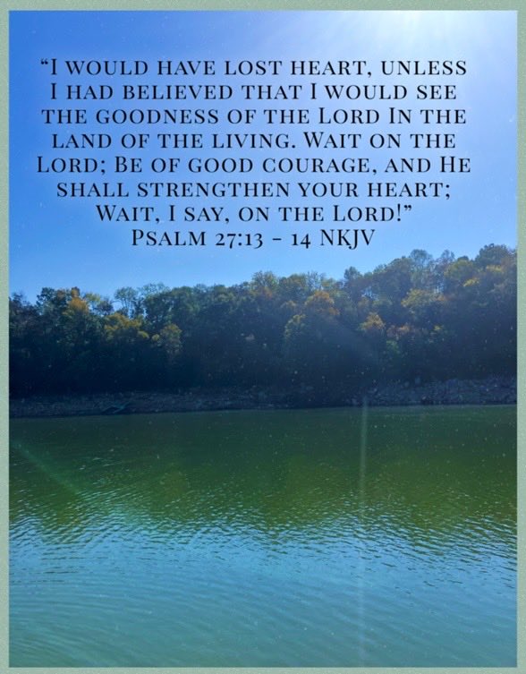 Judy Carr (@judycarr53) on Twitter photo 