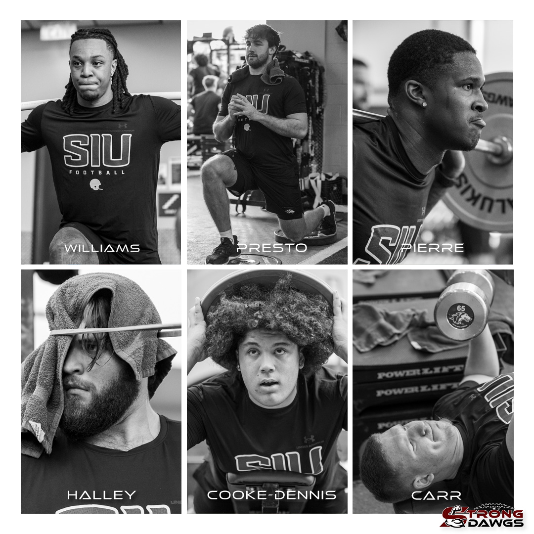 StrongDawgs tweet media