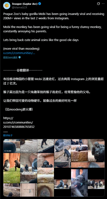 Mikocrypto11's tweet image. #Mobi 500K
5rqJa2TqsEeP5LbXHnsLREjWq2fvVTSmBhPJdPgFpump

OKX:web3.okx.com/ul/P5g5xql?ref…
GMGN:gmgn.ai/sol/token/bSBY…

Mobi代币灵感来源于布拉格动物园的网红大猩猩，由MemeGCR创建。旨在唤起早期可爱动物币的怀旧情感，同时庆祝这只迷人的、顽皮的大猩猩。