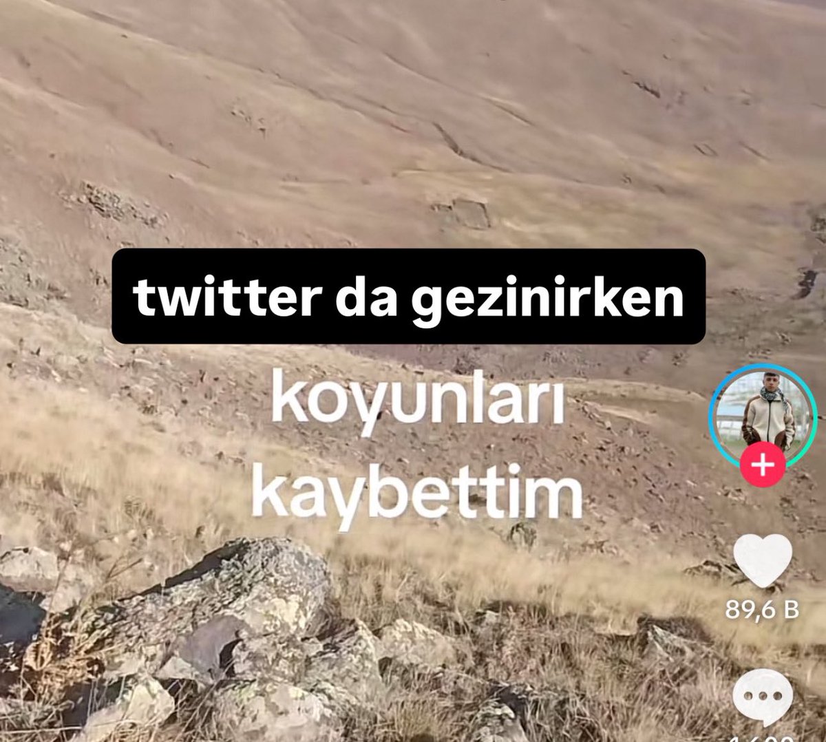 y; tweet media