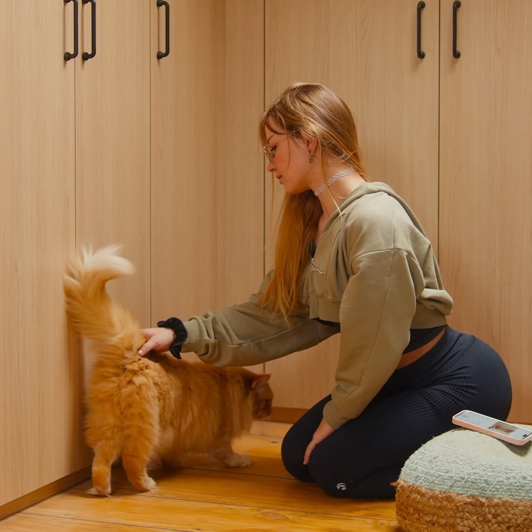 LeBranleur tweet media