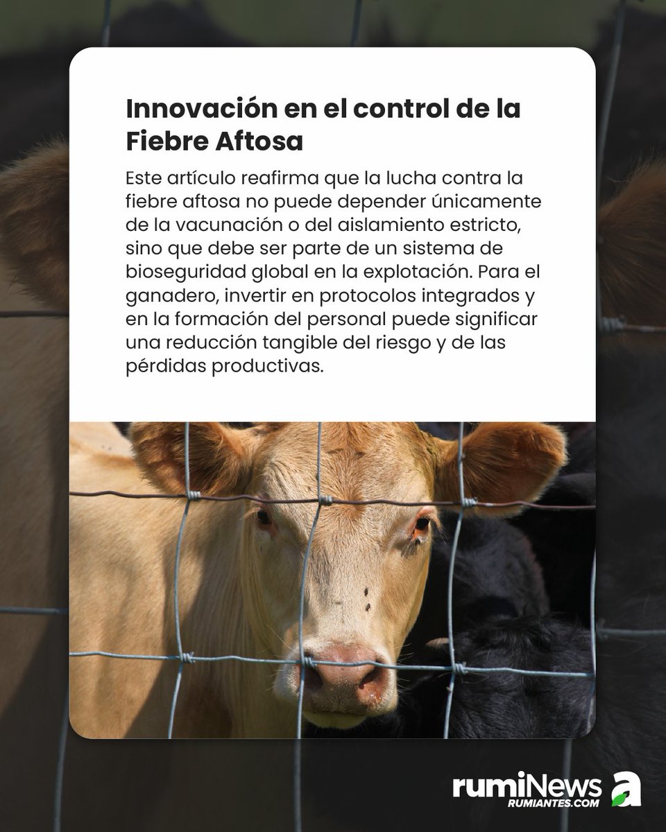 🔬Innovación al servicio de la sanidad animal: protocolos integrados, diseño de instalaciones y control de movimientos que refuerzan la prevención de fiebre aftosa 
Accede al artículo⬇️
rumiantes.com/innovacion-con…