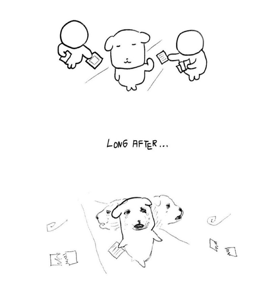 나 2020년도에 이 상태엿는데
지금 2026 되니까 나 저 전단지 나눠주는 사람 취급함 사람들이