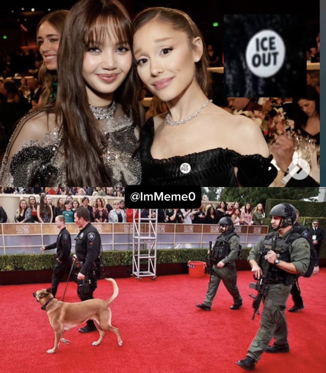 ImMeme0's tweet image. Yesterday at the Golden Globes, Ariana Grande flaunted her “ICE OUT” pin while enjoying one of the most heavily secured events in the world.

Rules for thee, but never for me.