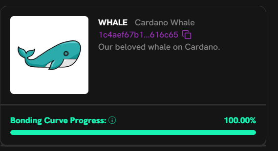 ADA Orca tweet media