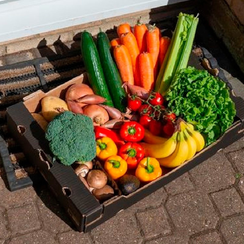 ElFruton's tweet photo. Cosecha desde casa frutas y vegetales de primera calidad 100% frescos y garantizados https://t.co/KFiAlLV8gd 

#tendencia
#moda
#life
#glow https://t.co/Vx13JA6xhs