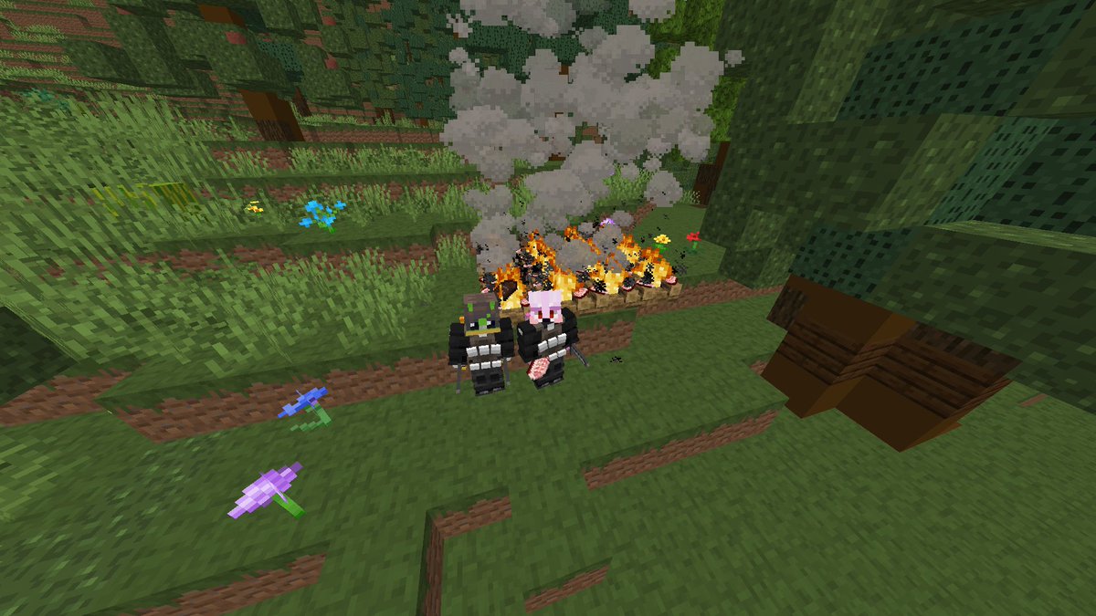 WindyTMBunny tweet media