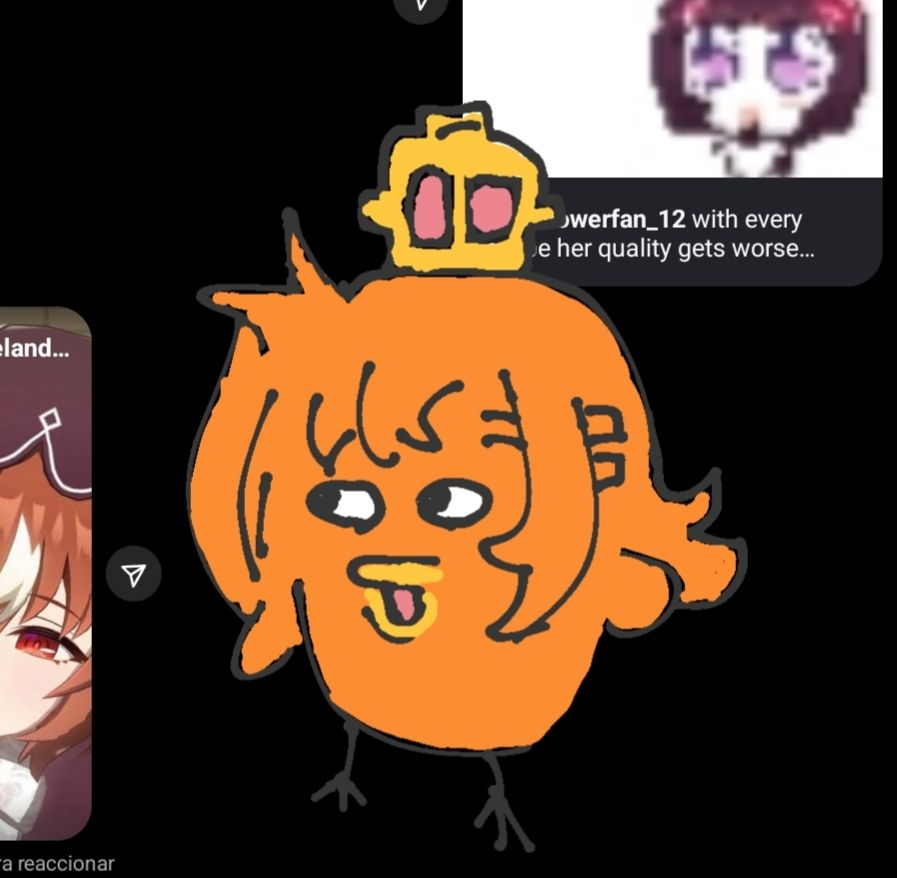 Opera bird on instagram