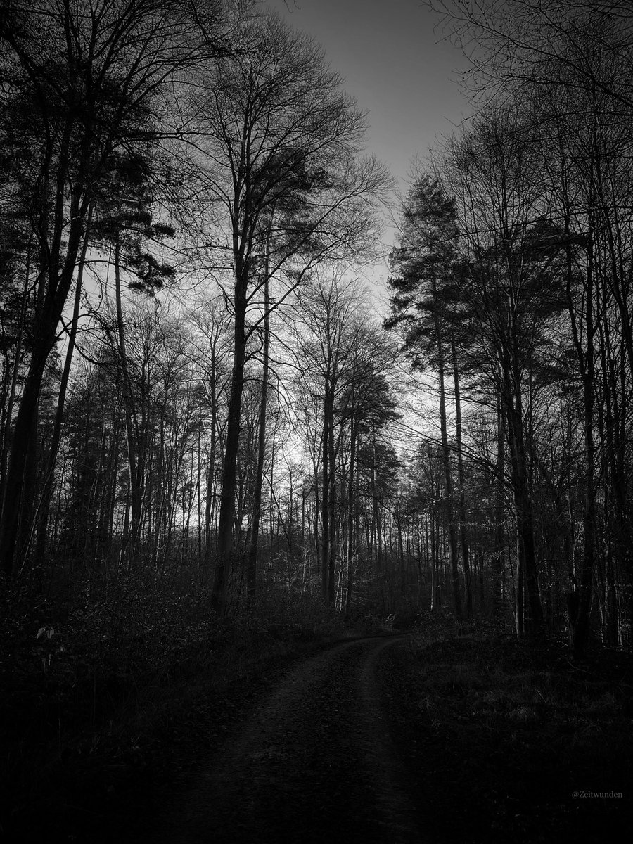 Zeitwunden's tweet image. 