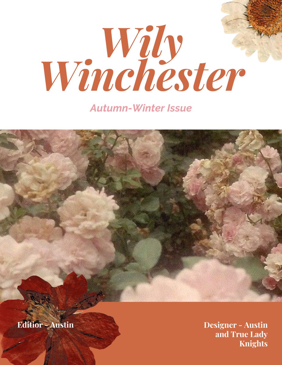 WilyWinLitMag (SUBMISSIONS OPEN) tweet media