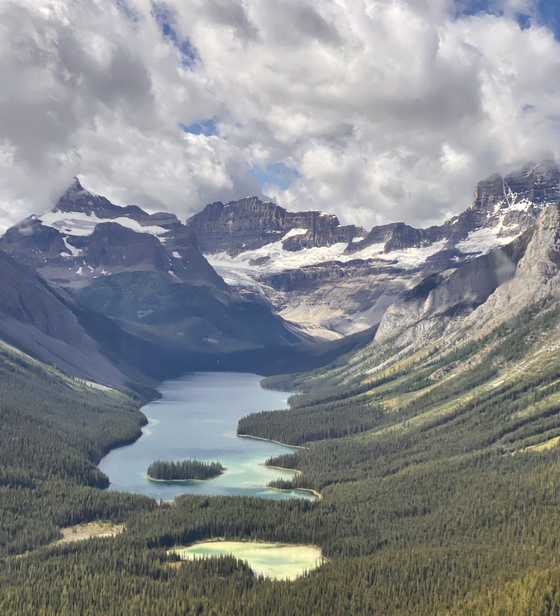 David Arslan tweet media