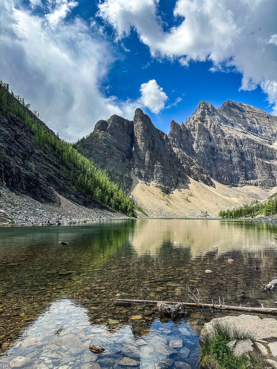 David Arslan tweet media