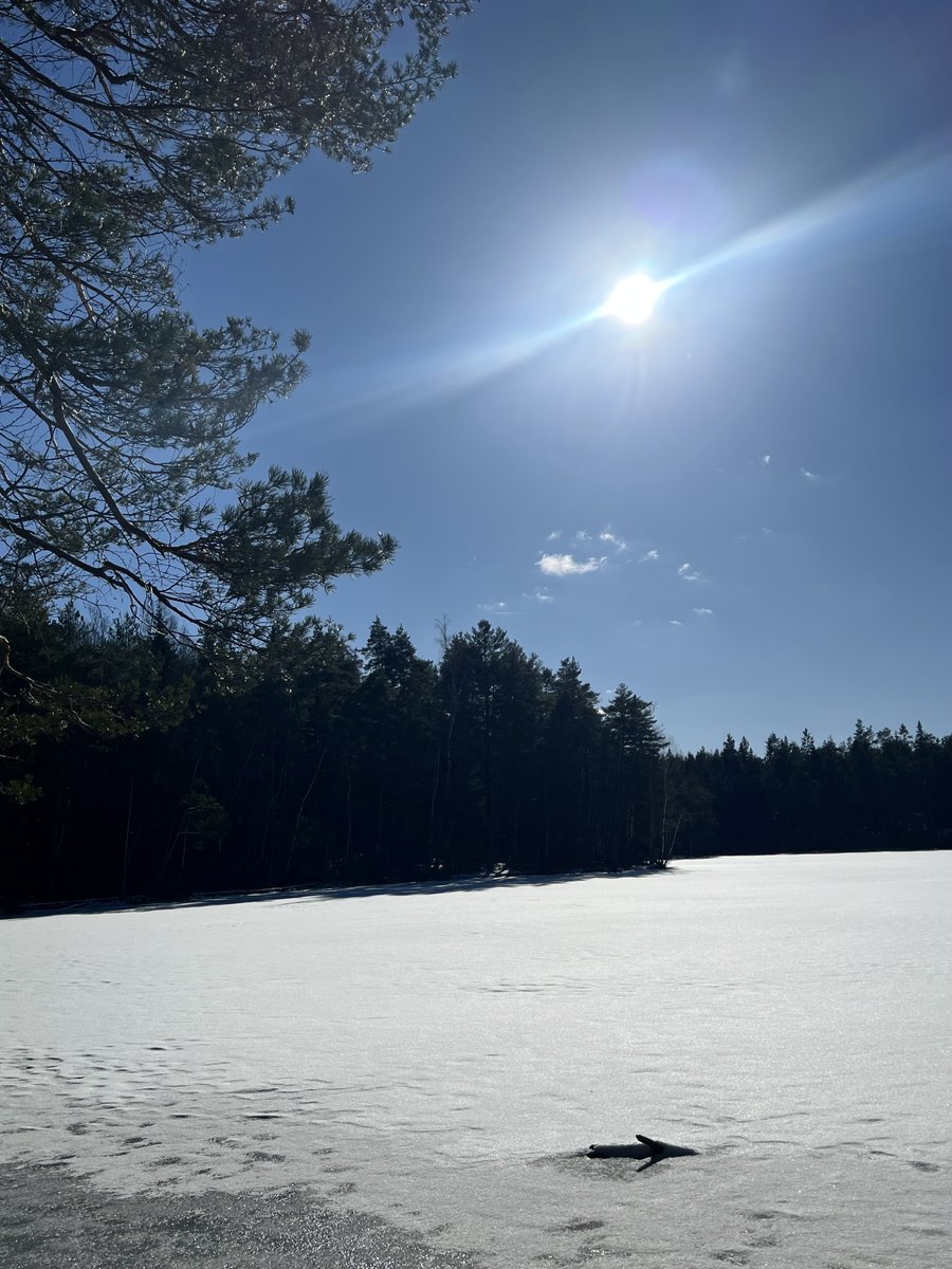 NGlers's tweet photo. Liikkeellä liikkuvaisen mieli #talvi #liike 🇫🇮❄️ https://t.co/0eyNt0pjrM