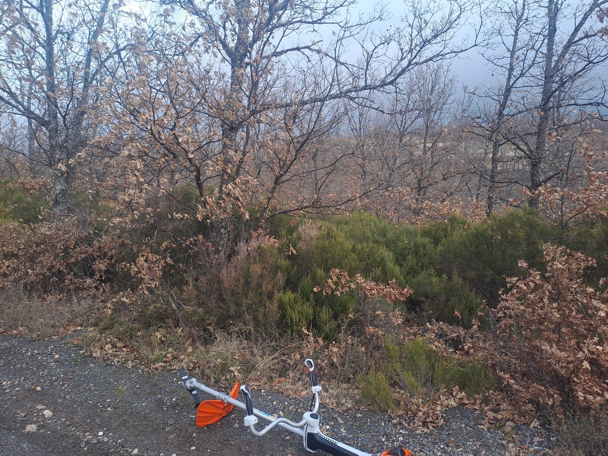 SOS wildfire tweet media