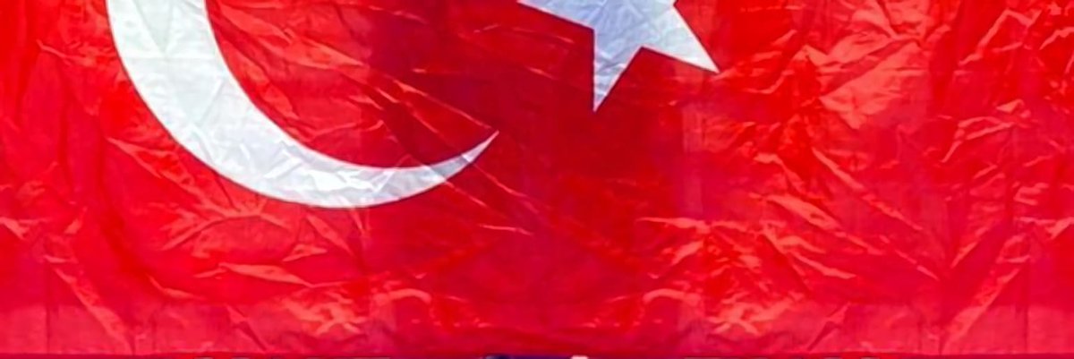 Damla Tigers 🐯 tweet media