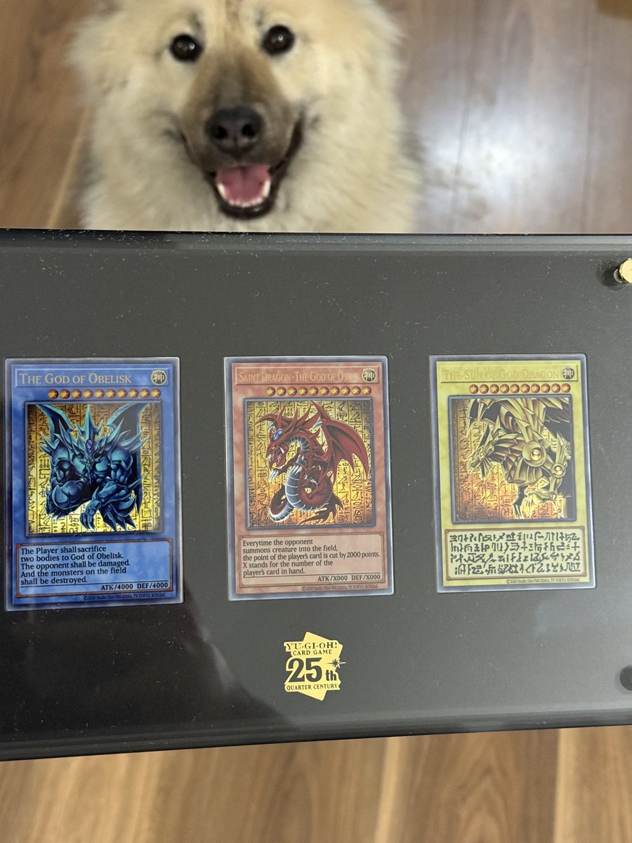 Bordel j’ai enfin l’item de mes rêves…