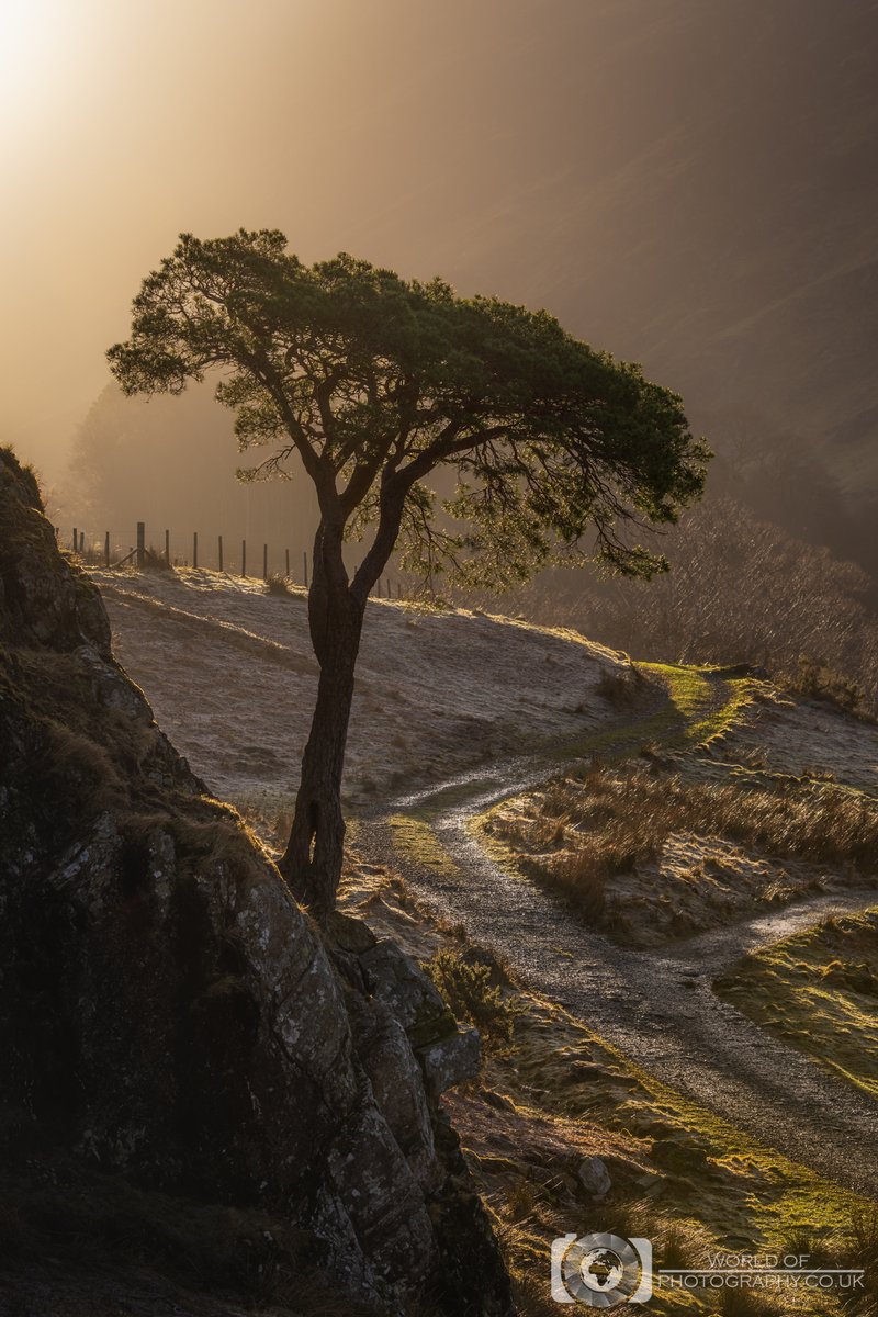 Morning Break

Buttermere, Lake District, Cumbria, UK

#lakedistrict #buttermere #sunrise #cumbria #canon #landscapephotography