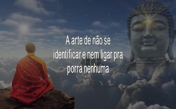 vitale11d's tweet image. 