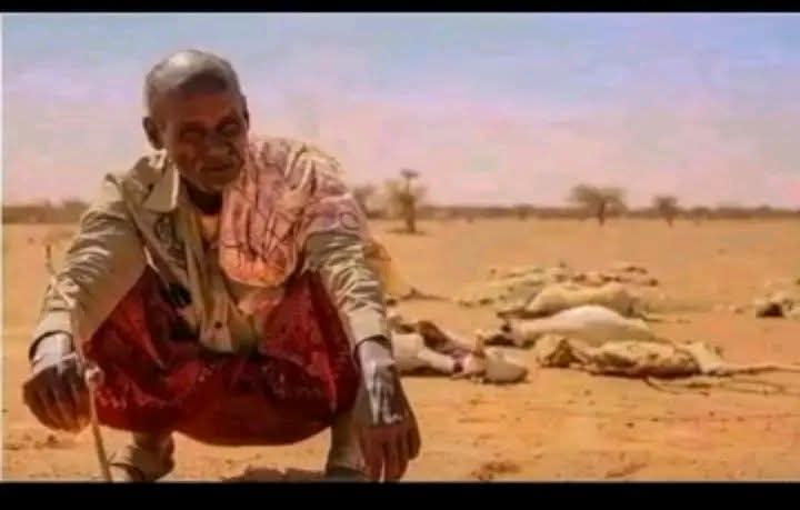 ouma_neko's tweet image. One thing I respect about Rigathi Gachagua is this: he tells the truth in public and repeats it in private. Not to please anyone, but to force change. And the truth he said is what many Kenyans already know but fear to say William Ruto is not a good president.

When Gachagua…