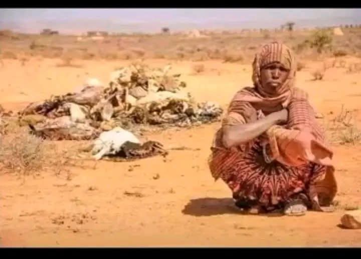 ouma_neko's tweet image. One thing I respect about Rigathi Gachagua is this: he tells the truth in public and repeats it in private. Not to please anyone, but to force change. And the truth he said is what many Kenyans already know but fear to say William Ruto is not a good president.

When Gachagua…