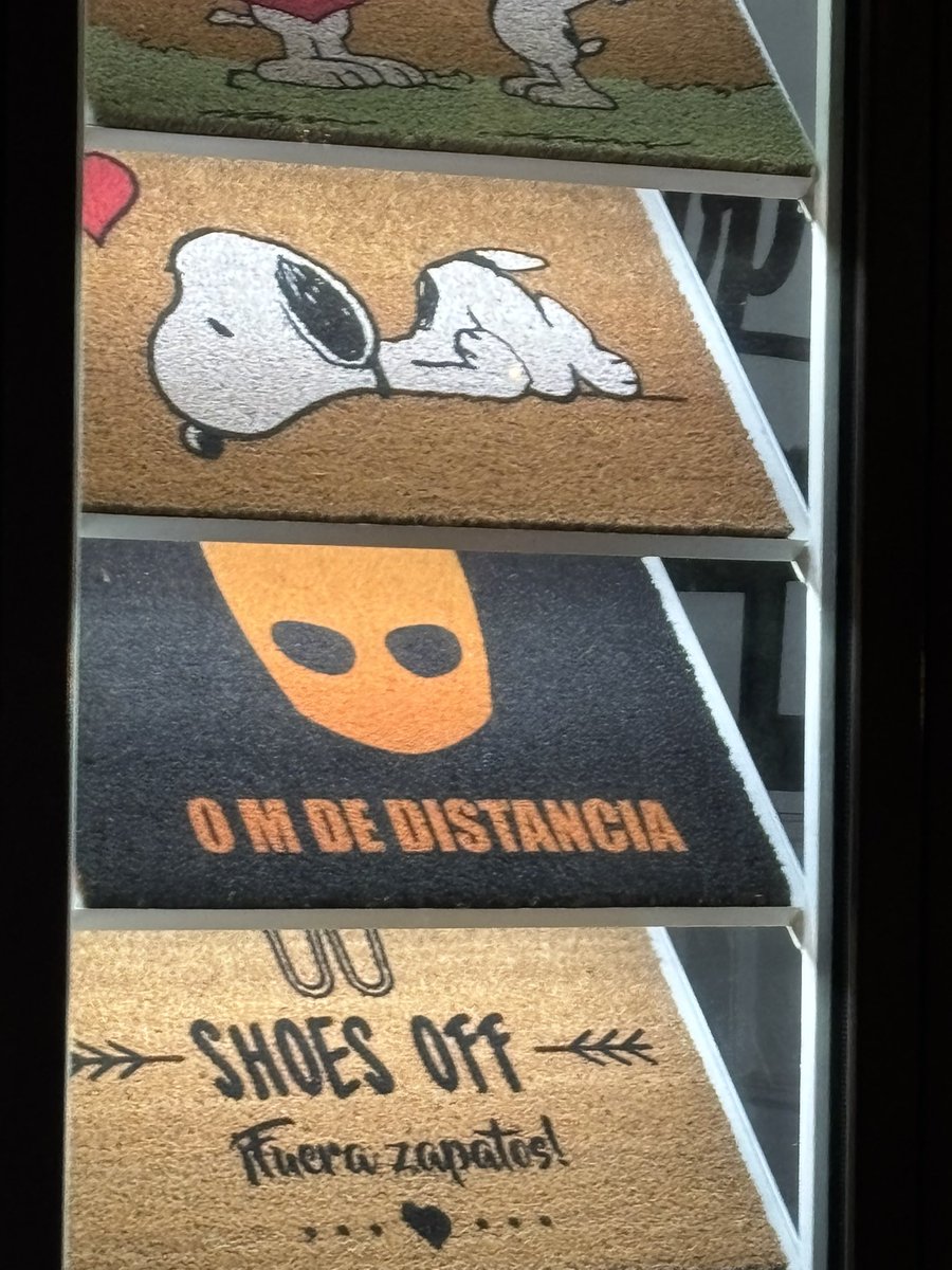 salguergarcia's tweet image. Eligiendo felpudo para mi casa