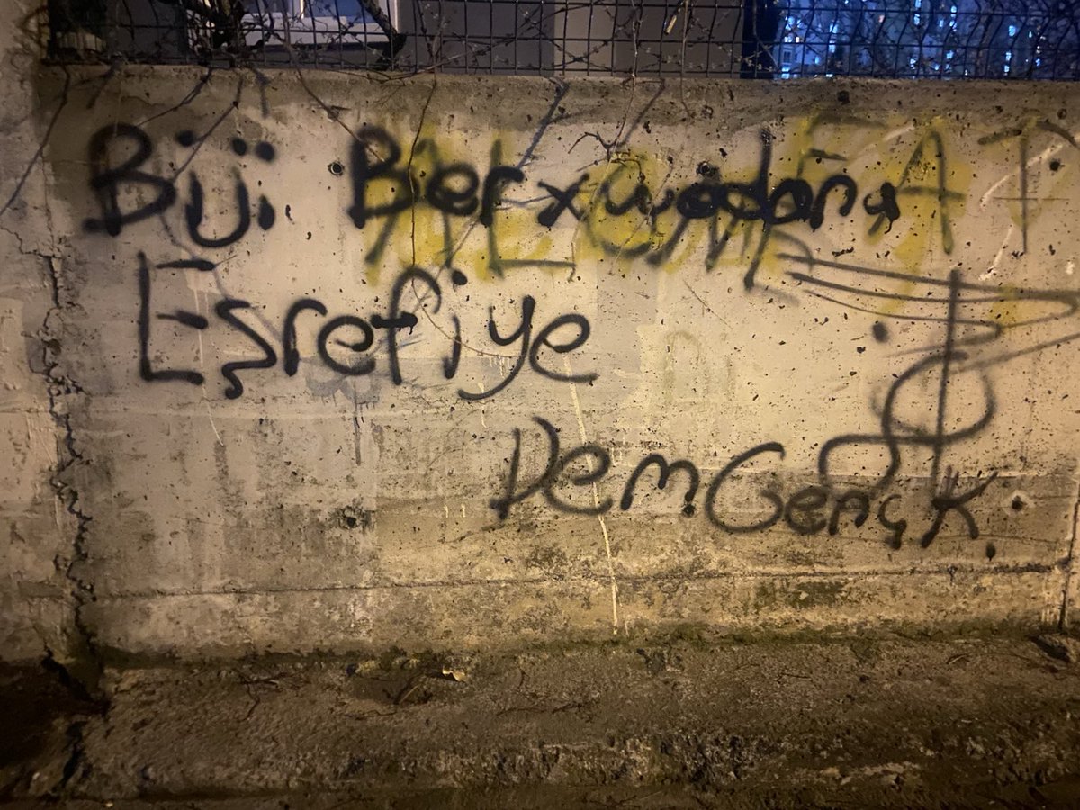demgenckadin_'s tweet photo. İstanbul’un sokaklarından sesleniyoruz :

BIJÎ BERXWEDANA ROJAVA !

#DefendRojava https://t.co/pvacRztgnM