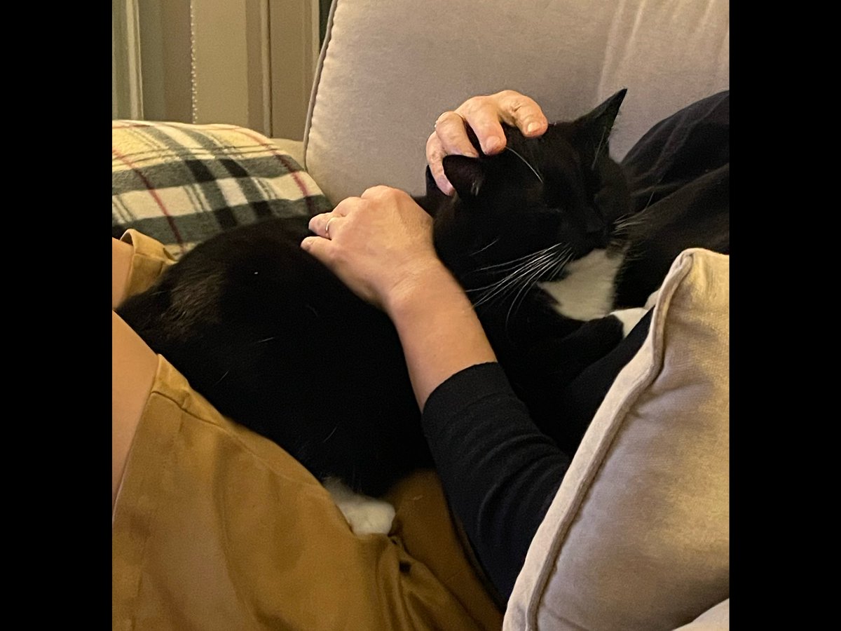 Jan-Luuk tweet media