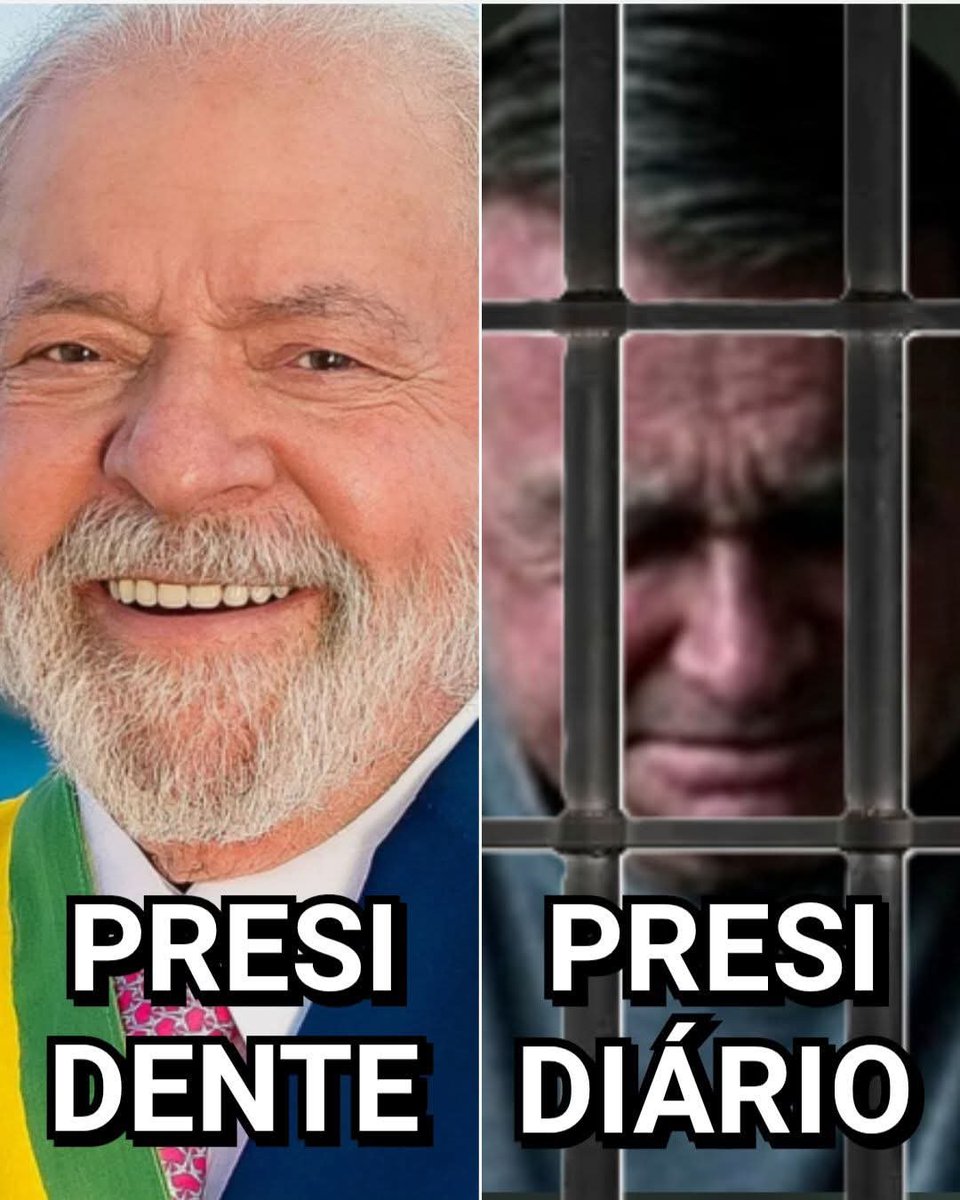 Bolsofóbico tweet media