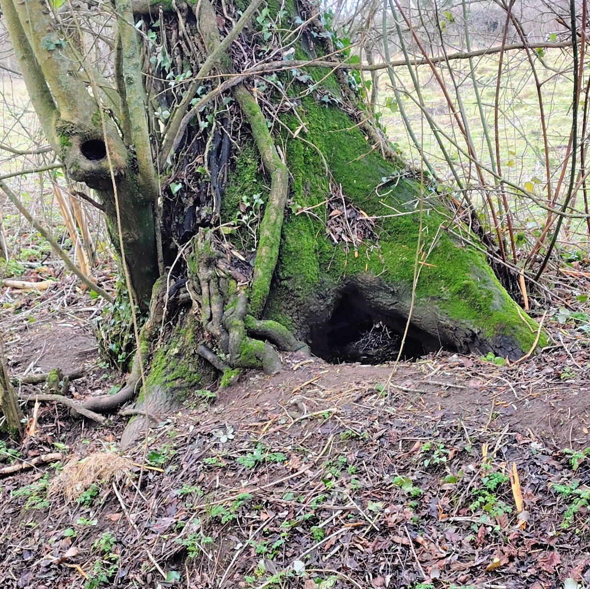 Mark Garrett tweet media