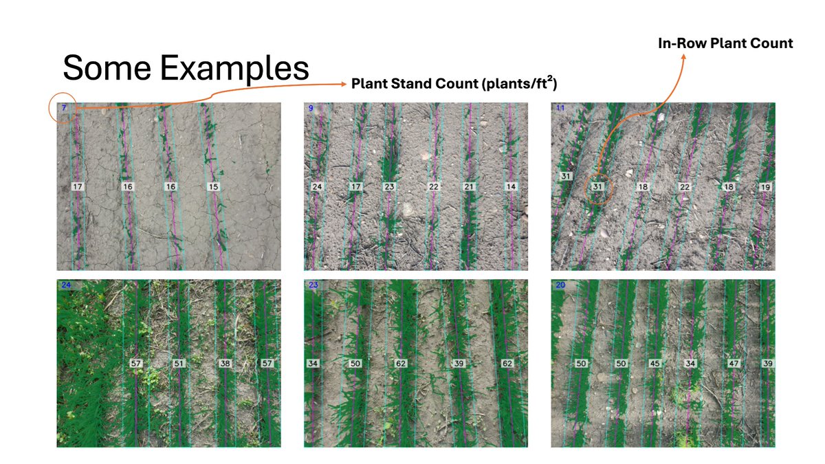 Cory Willness tweet media