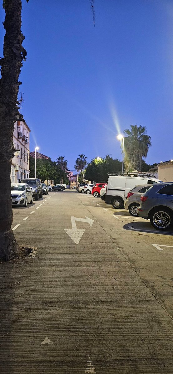 Cosas que cansan: Pisar m., y que luego no toque la lotería.  Que dejen de decir que eso da suerte.