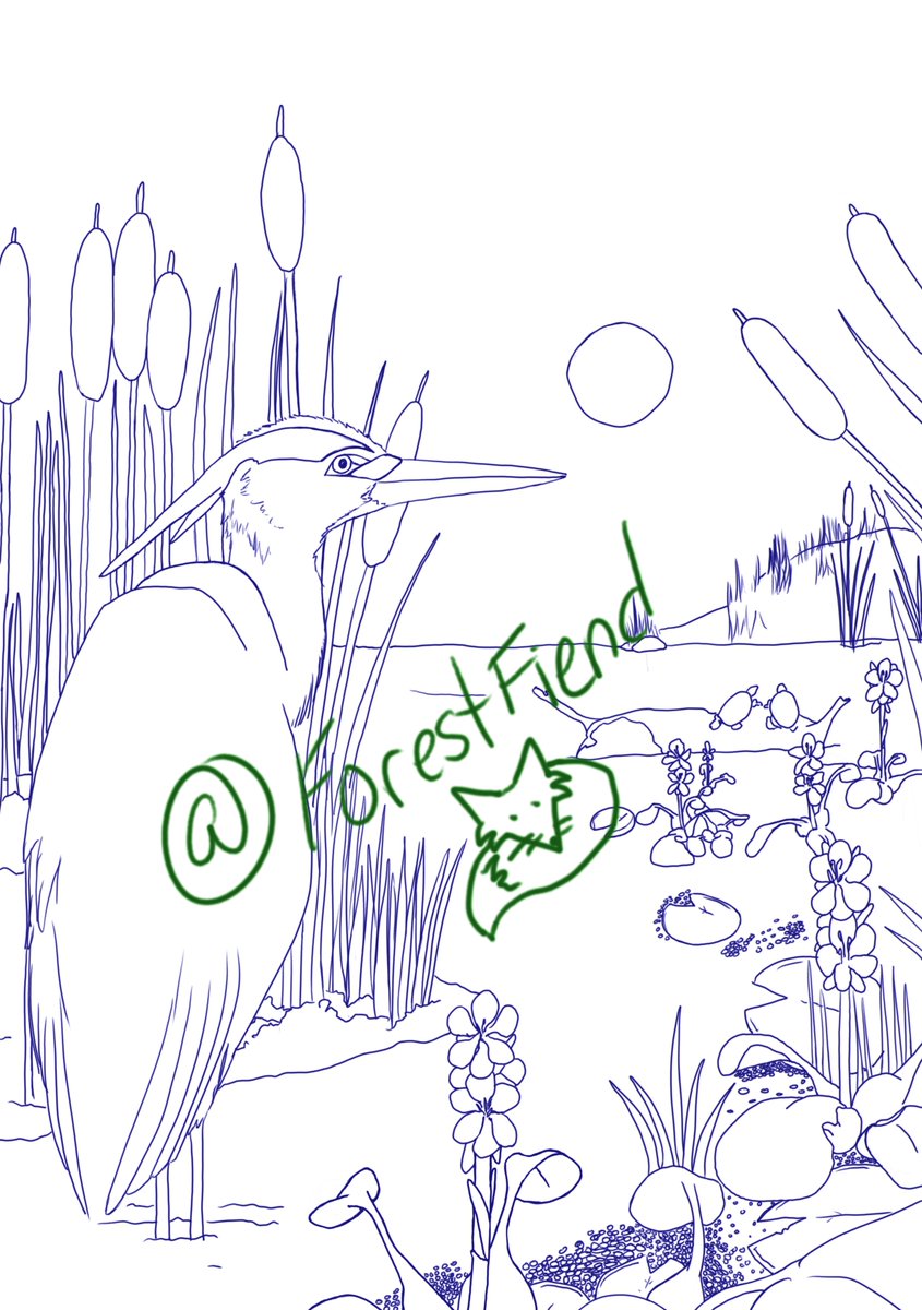 🌒🌲Camphor🌲🌘 tweet media