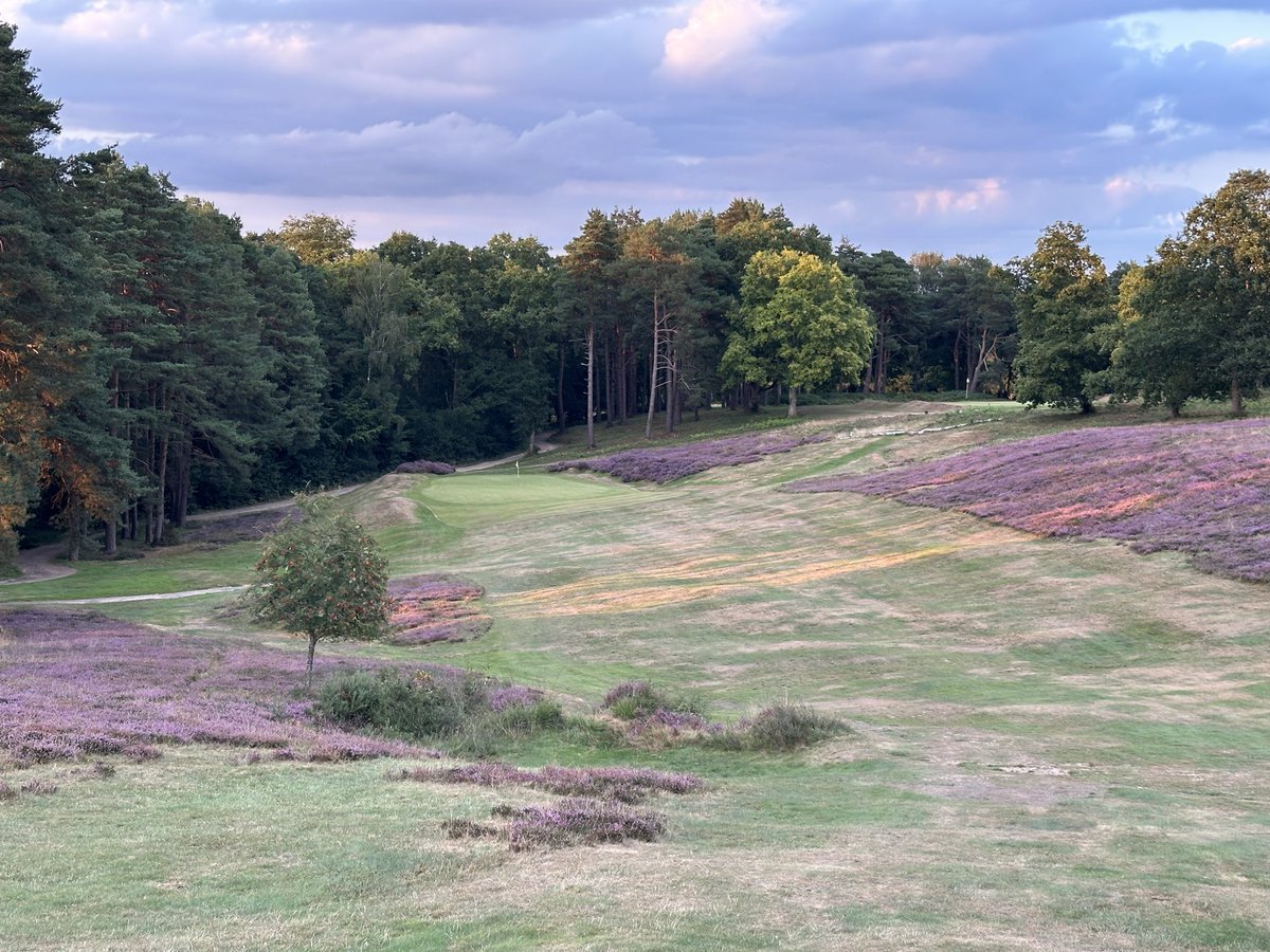 Brett Hochstein tweet media