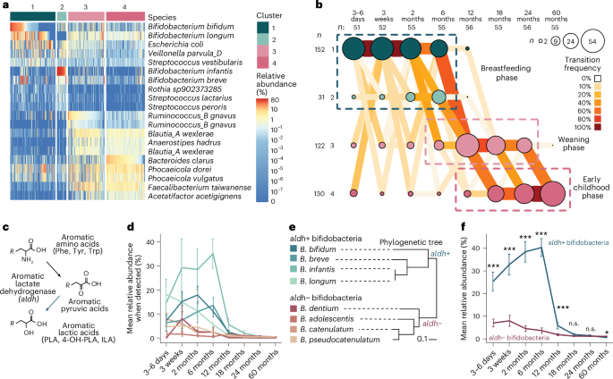 NatureMicrobiol's tweet image. Out Now! Early-life colonization by aromatic-lactate-producing bifidobacteria lowers the risk of allergic sensitization dlvr.it/TQJQYN #Microbiology #Bifidobacteria #GutHealth