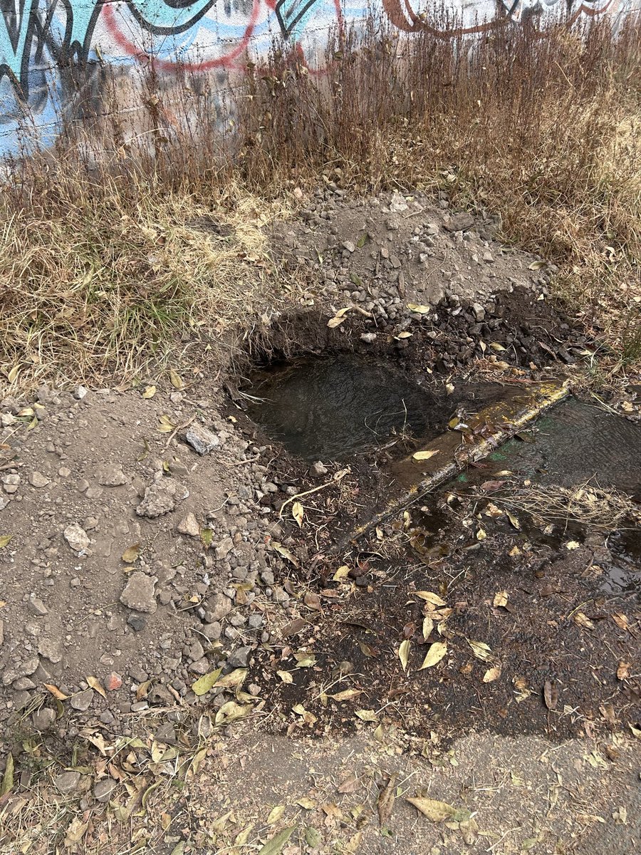 JuPaSaUr's tweet photo. @SEGIAGUA fuga sobre la ciclovía de Álvaro Obregón , justo a espaldas del centro libanés. 

Se está tirando mucha agua https://t.co/lXNn3FLVjq