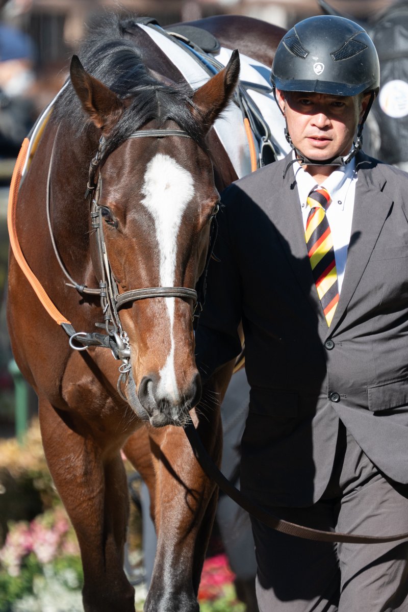 もんちゃん もんちゃん (@monchan0806) • Instagram photos and videos