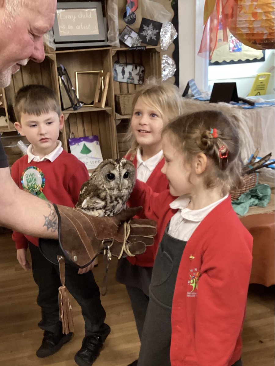 TownvilleEYFS's tweet photo. We have had some very special visitors today! The children were so excited to meet Steve and his feathery friends from Yorkshire Owl Experience. We learnt so much about owls and were very excited to tell our grown ups ๐ฆ๐คฉ#EYFS #exploringnature @TownvilleIS https://t.co/RabfglUGSU