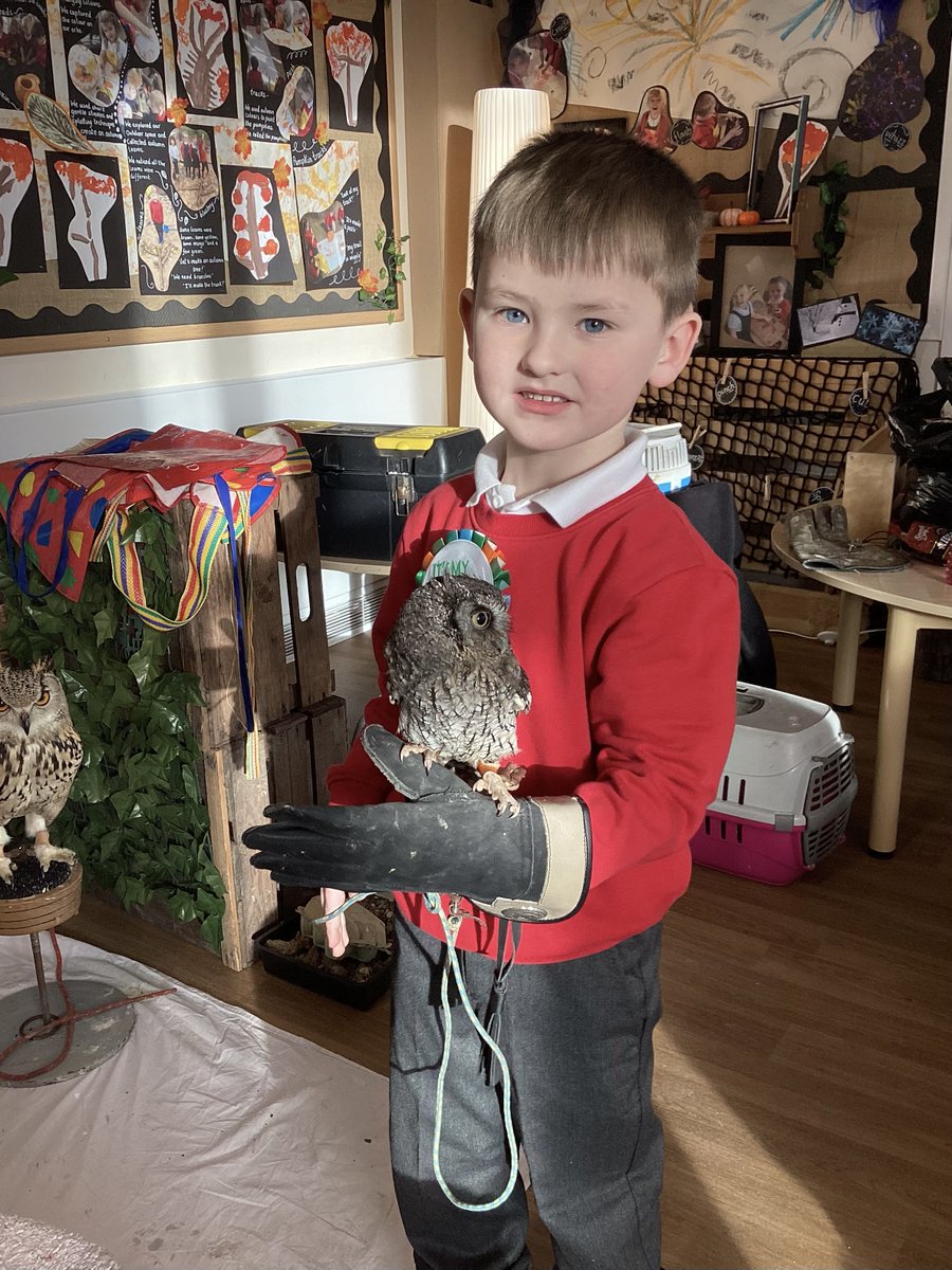 TownvilleEYFS's tweet photo. We have had some very special visitors today! The children were so excited to meet Steve and his feathery friends from Yorkshire Owl Experience. We learnt so much about owls and were very excited to tell our grown ups ๐ฆ๐คฉ#EYFS #exploringnature @TownvilleIS https://t.co/RabfglUGSU