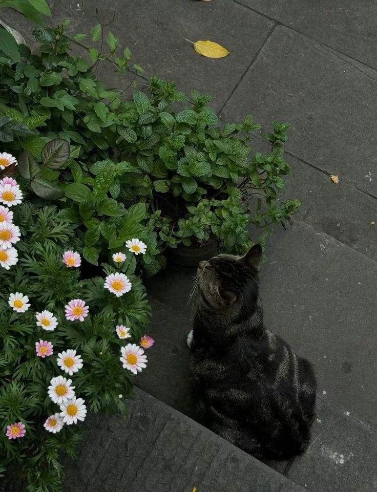 greenvibe's tweet image. 