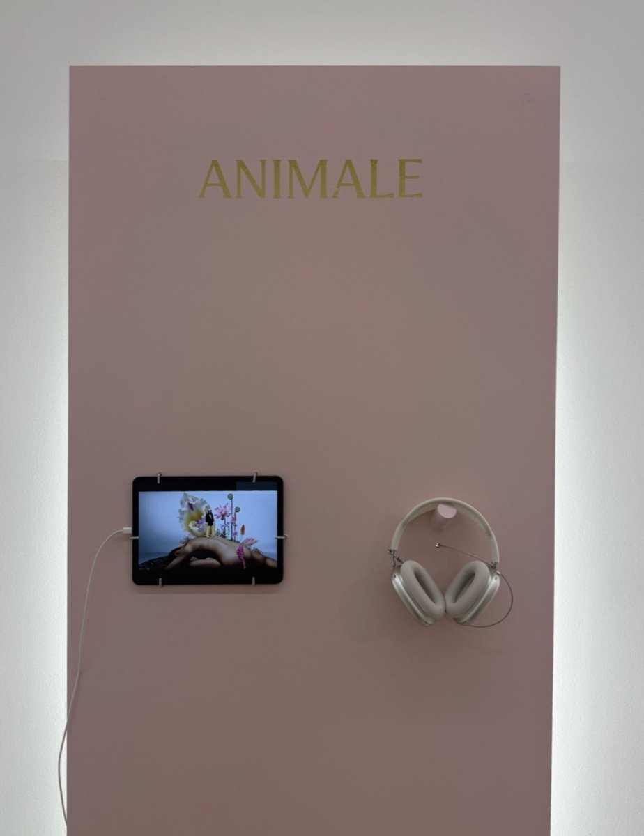 Sebastien Tellier tweet media