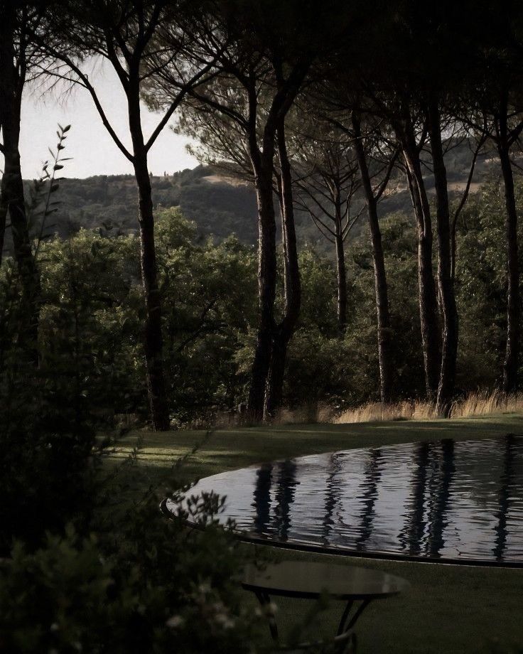 greenvibe's tweet image. 