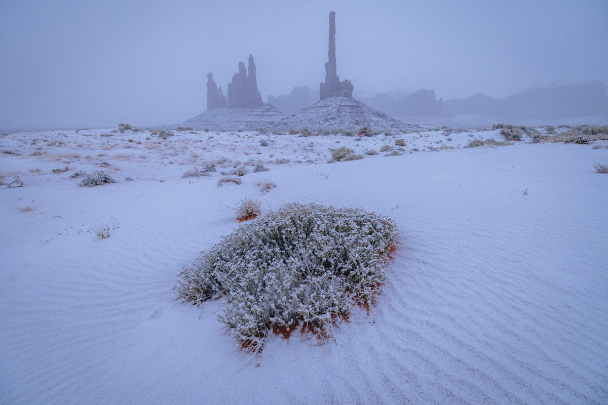 daily dose of nature