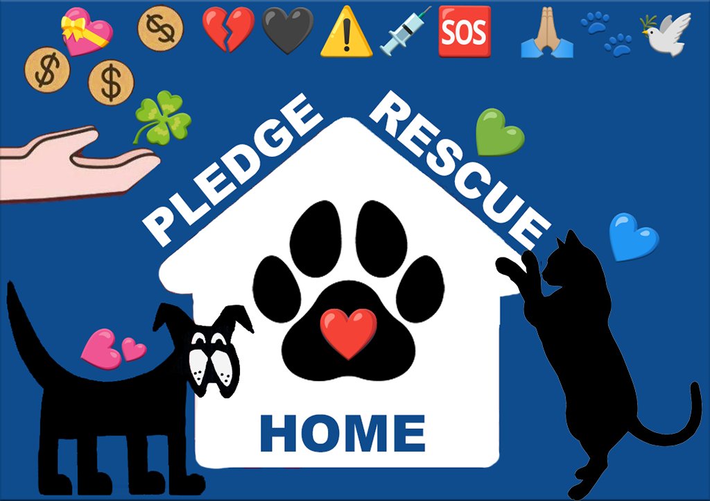 MSC1111's tweet photo. @beeleevitonly Pledge to save puppy RUBY #A383875 1 yo # #BlackLabMix https://t.co/auhuI7Vdpi
