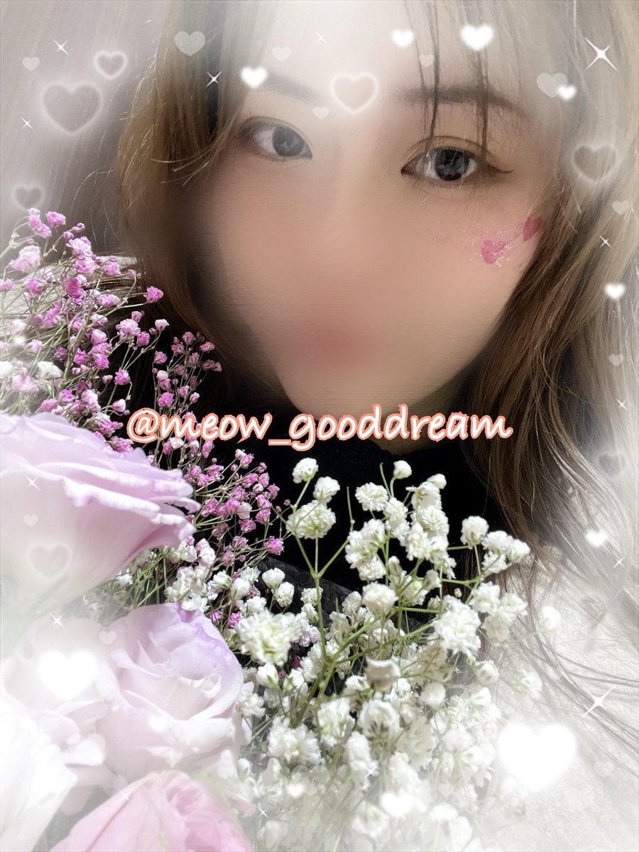 睏睏小貓 tweet media