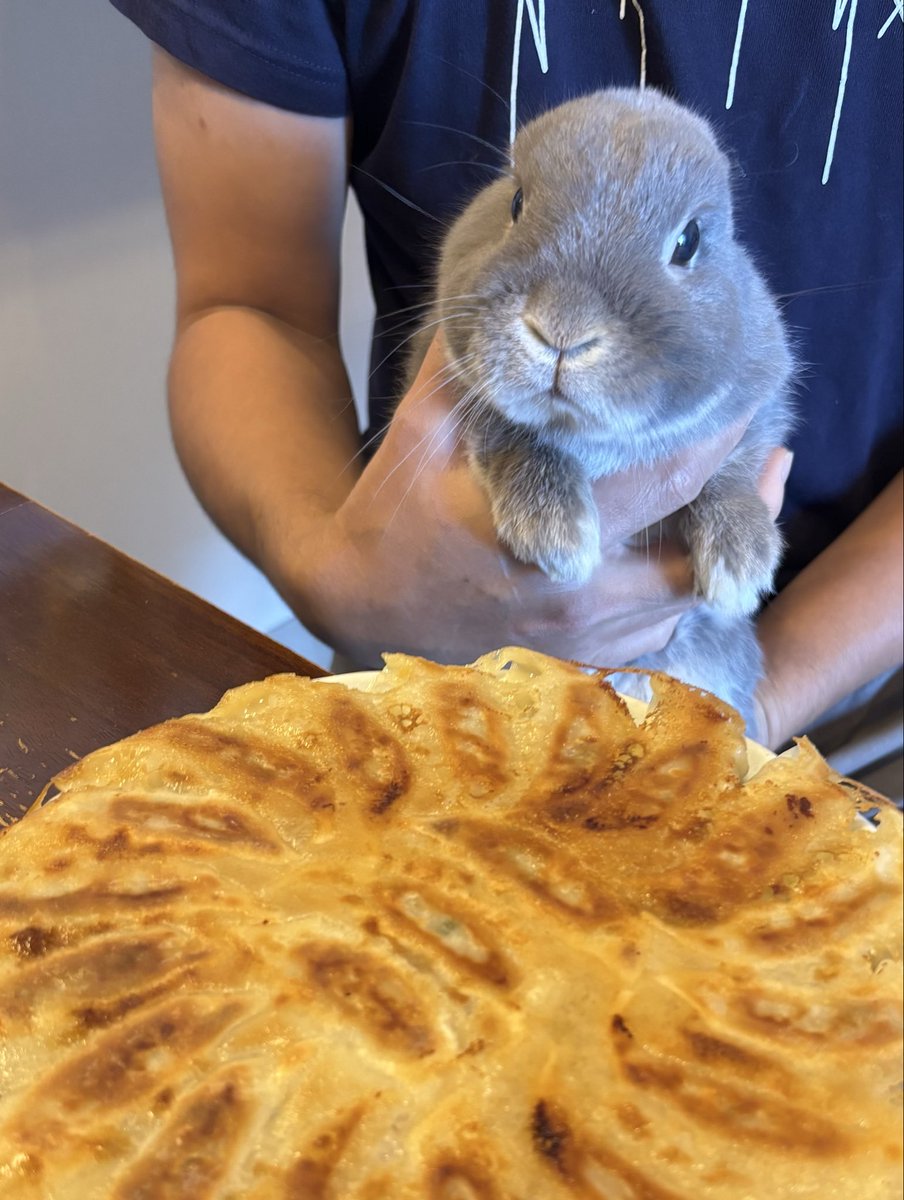 キリッとした強い眼差し✨