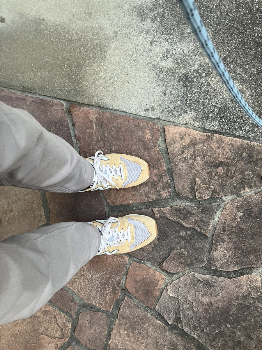 今朝は3回目のおっきな亀さんを
攻略　小麦色の服を着たドヤわんこ
なんと父ちゃんのスニーカーまで
こむぎ色になっちゃいました😊
メルカリで見てたら格安であった
ので迷わず購入
もしかしたら家中小麦色になるかも😍